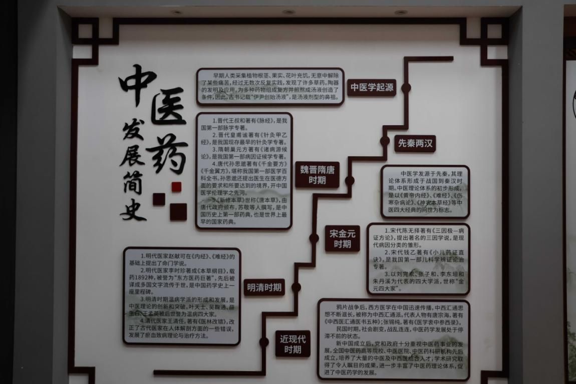 中医药发展简史