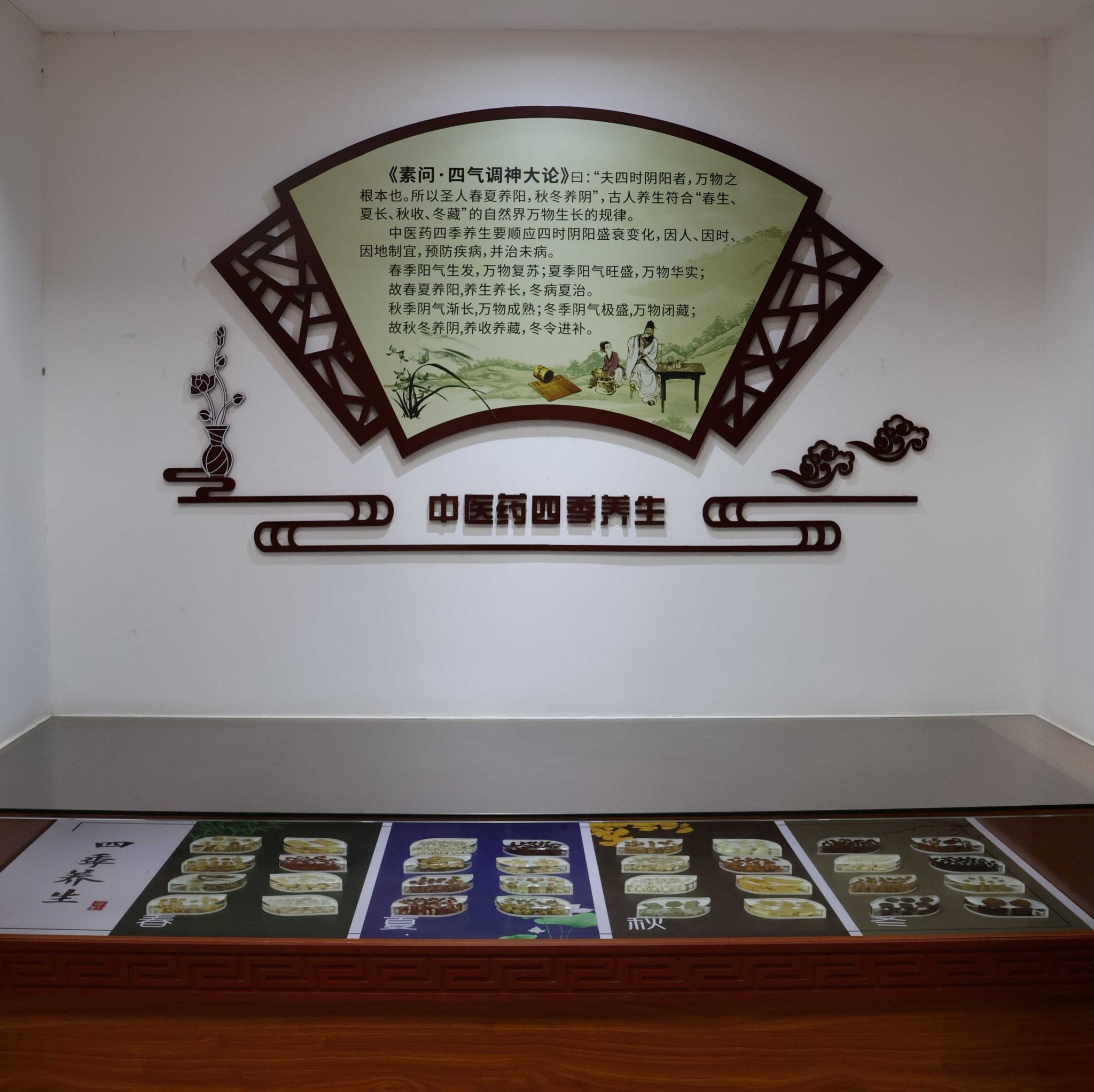 四季养生的中药饮片标本