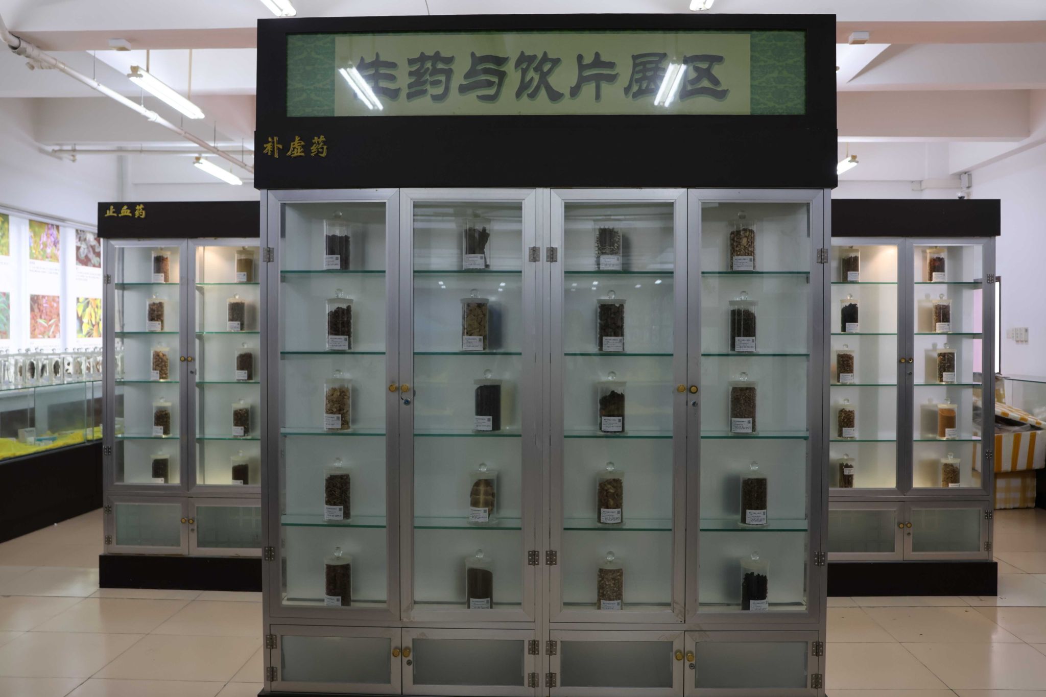 生药与饮片展区