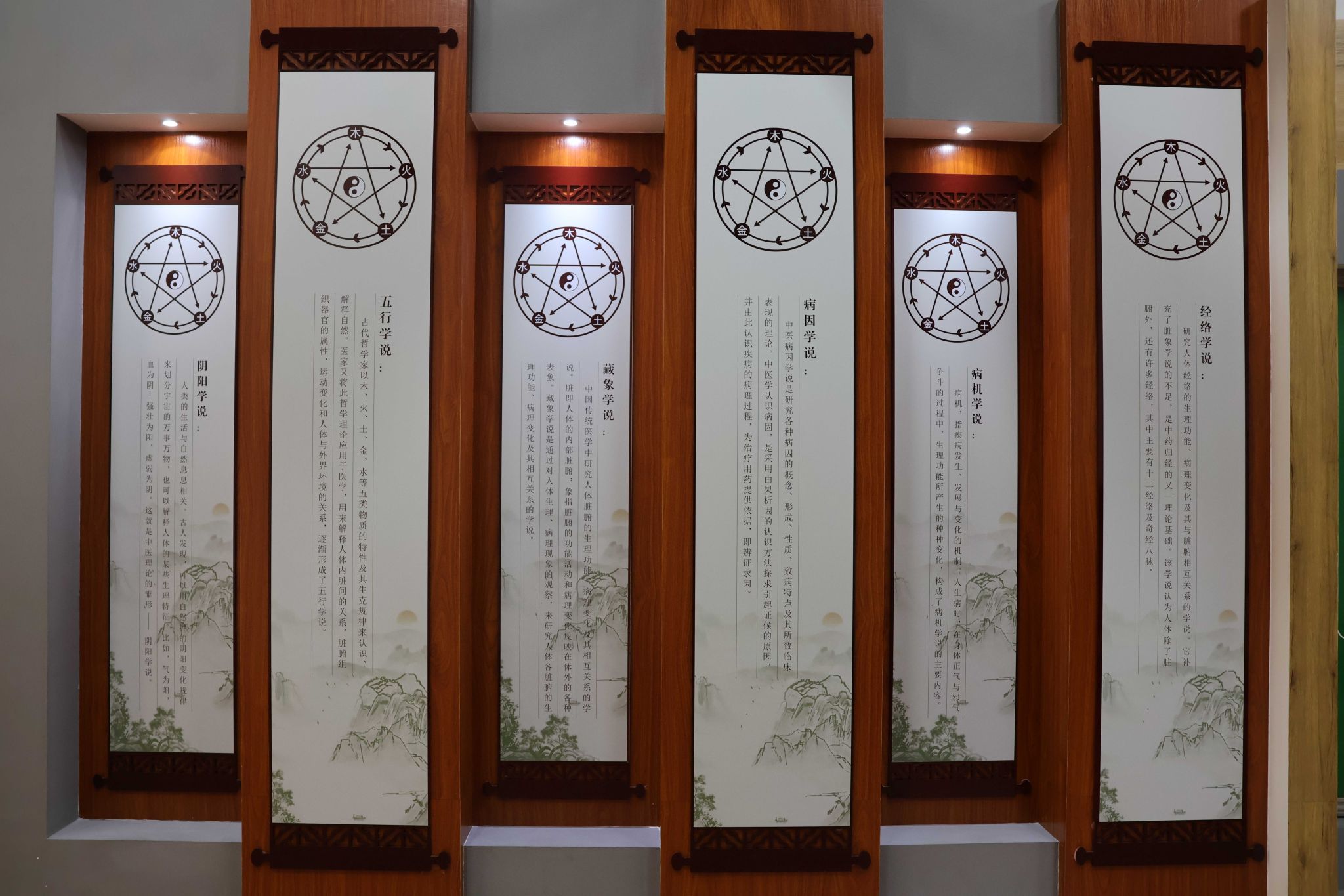中医的六大学说