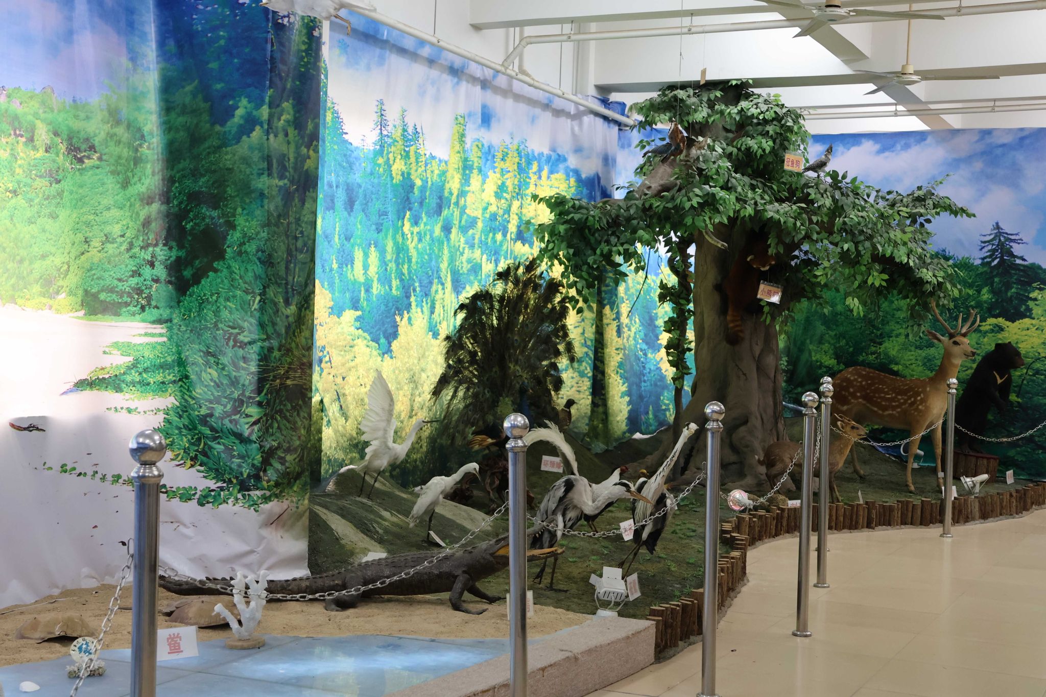 生态展区